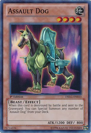 Assault Dog - DRLG-EN033 - Super Rare 1st Edition