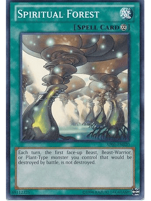 Spiritual Forest - AP01-EN020 - Common