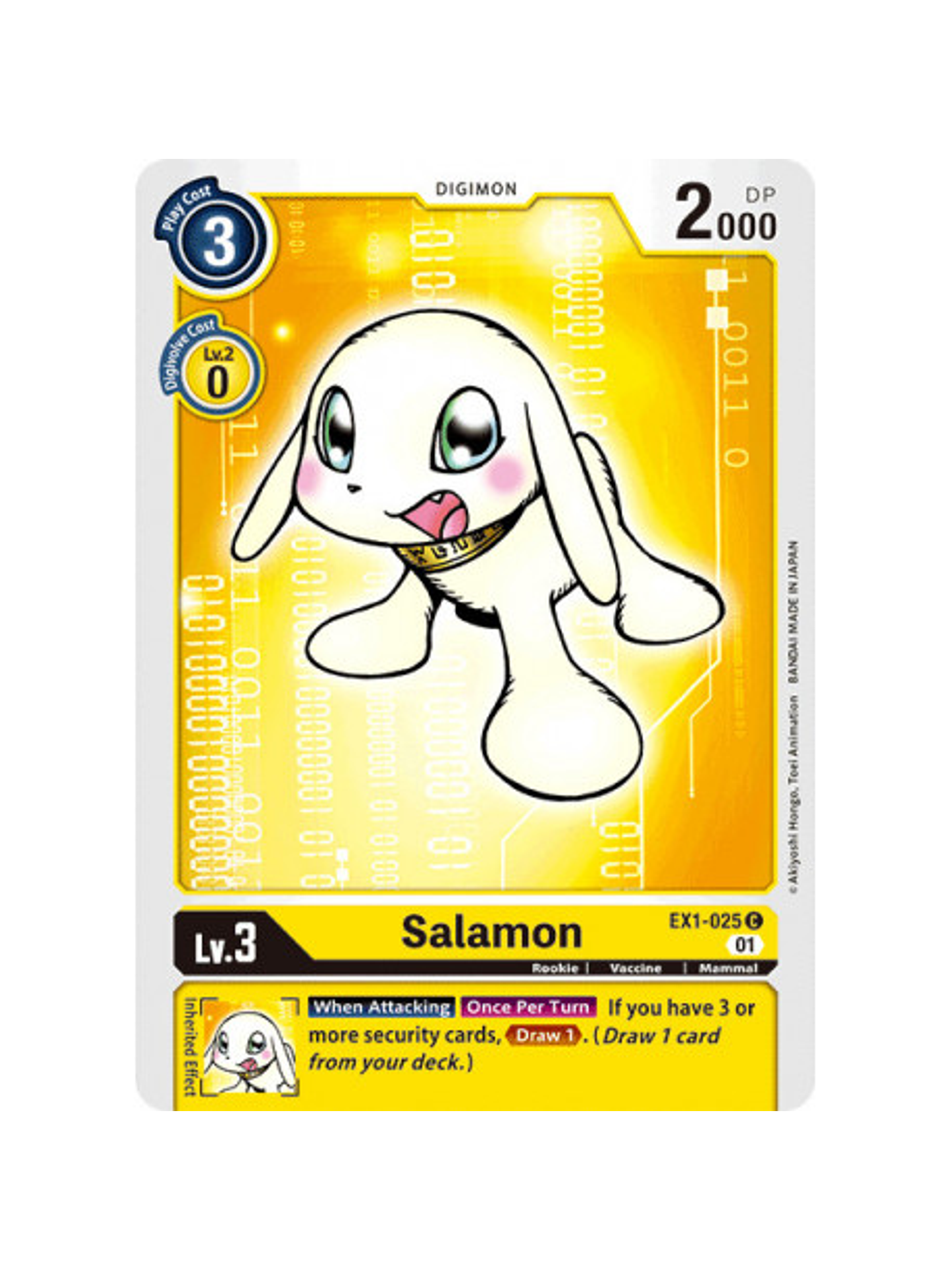 EX1-025 C Salamon 1