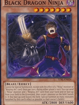 Black Dragon Ninja - TDIL-EN036 - Common 1st Edition