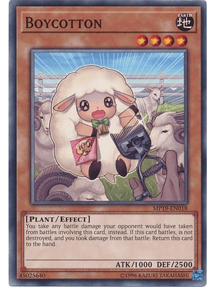 Boycotton - MP19-EN018 - Common Unlimited