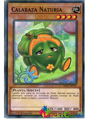 Naturia Pumpkin - HAC1-EN117 - Common 1st Edition