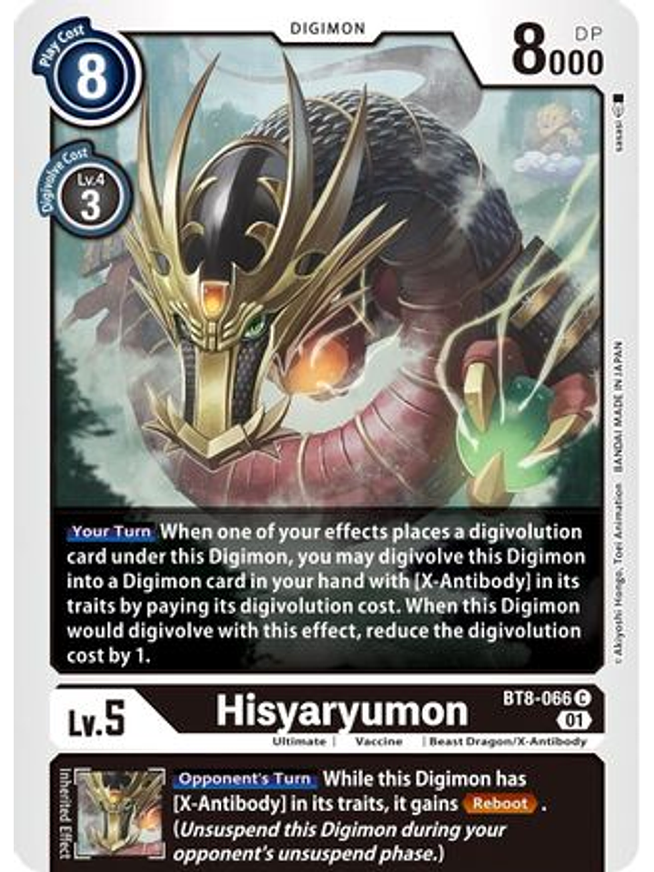 BT8-066 C Hisyaryumon  1