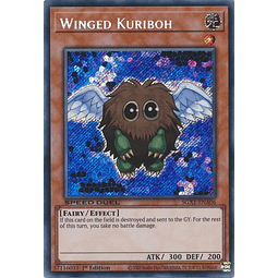 Winged Kuriboh - SGX1-ENA06 - Secret Rare 1st Edition