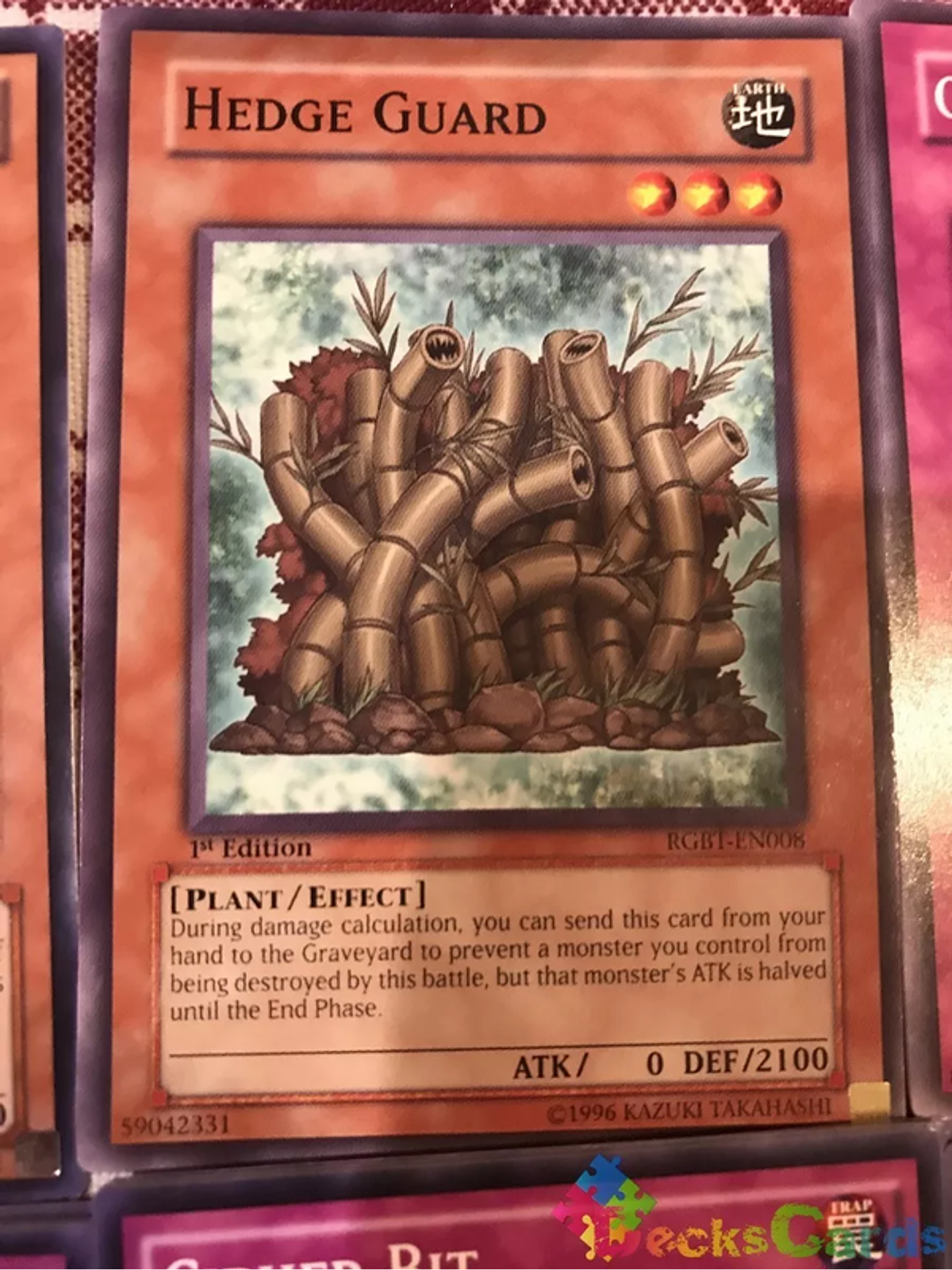 Hedge Guard - RGBT-EN008 - Common 1st Edition 1