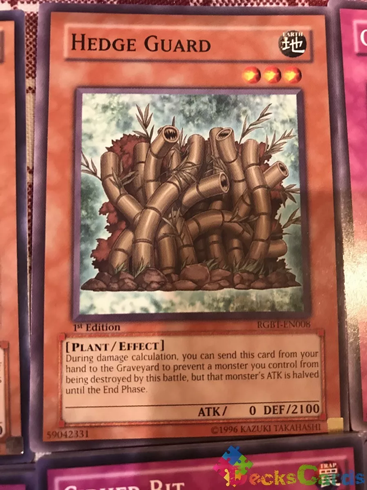 Hedge Guard - RGBT-EN008 - Common 1st Edition 1