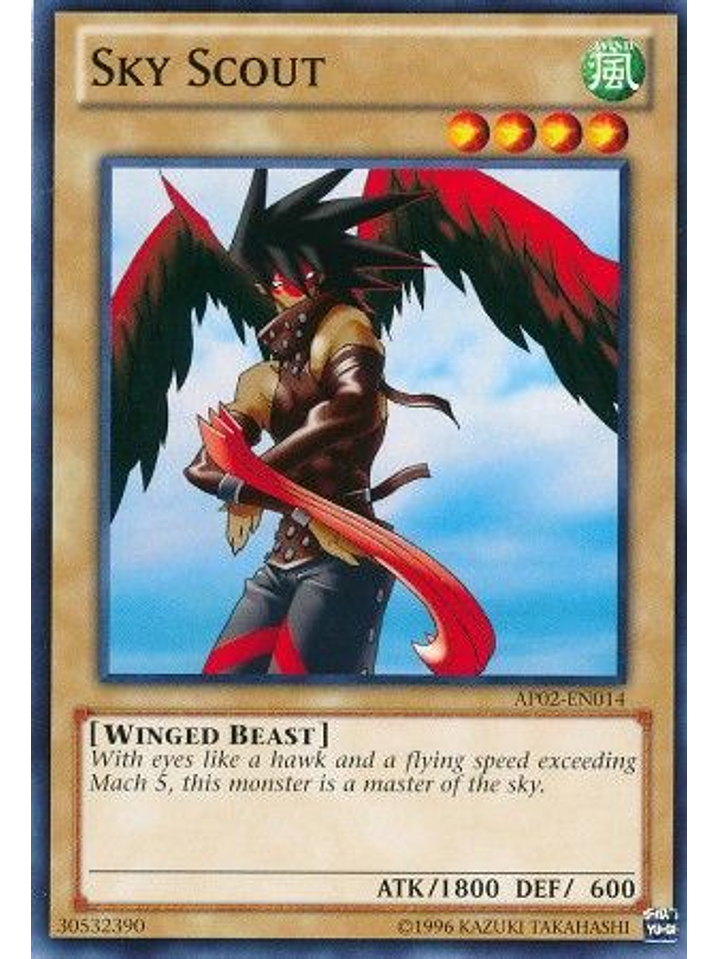 Sky Scout - AP02-EN014 - Common 1