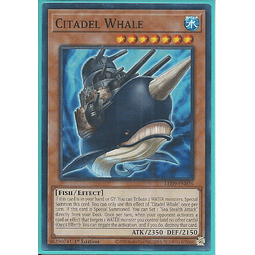 Citadel Whale - LED9-EN026 - Common 1st Edition