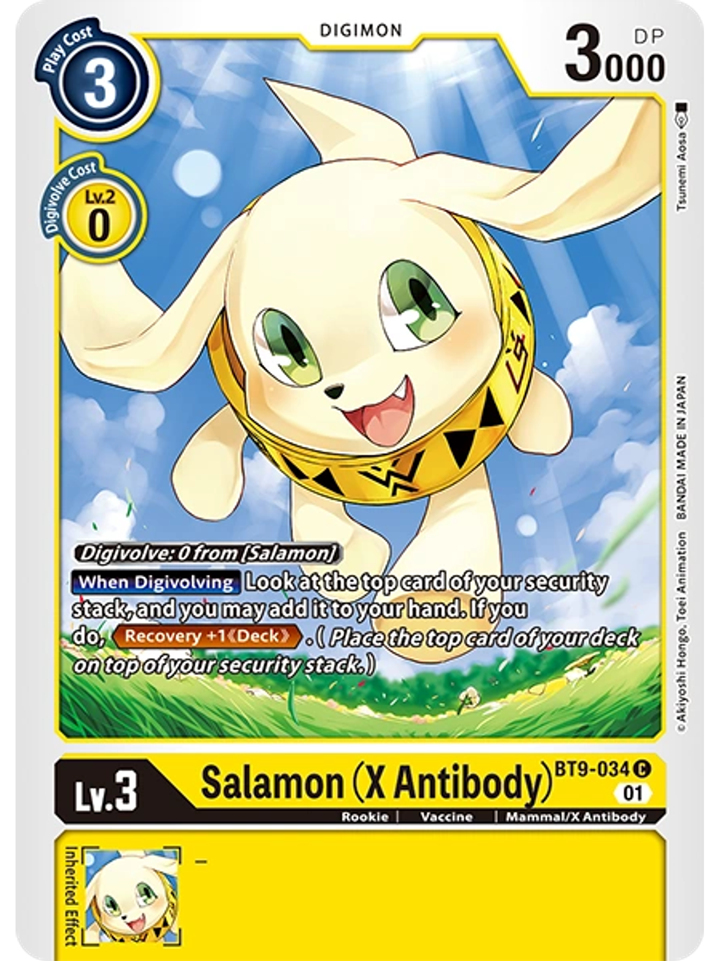 BT9-034 C Salamon -X Antibody- 1