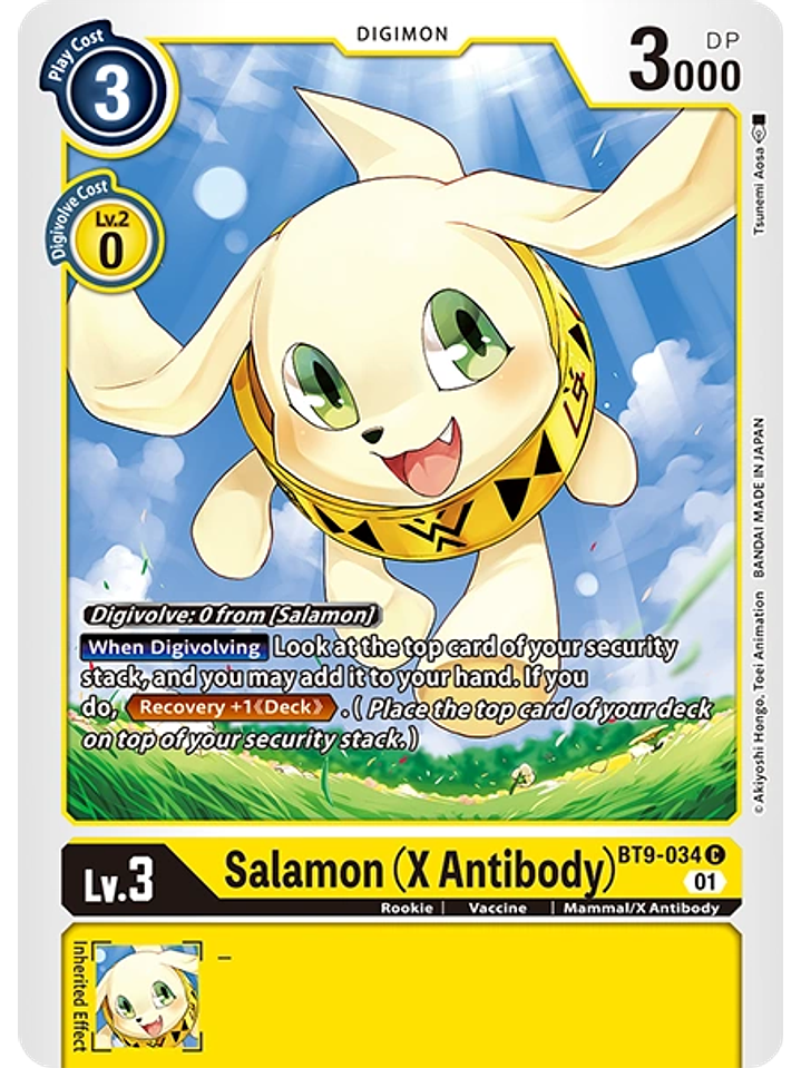 BT9-034 C Salamon -X Antibody- 1