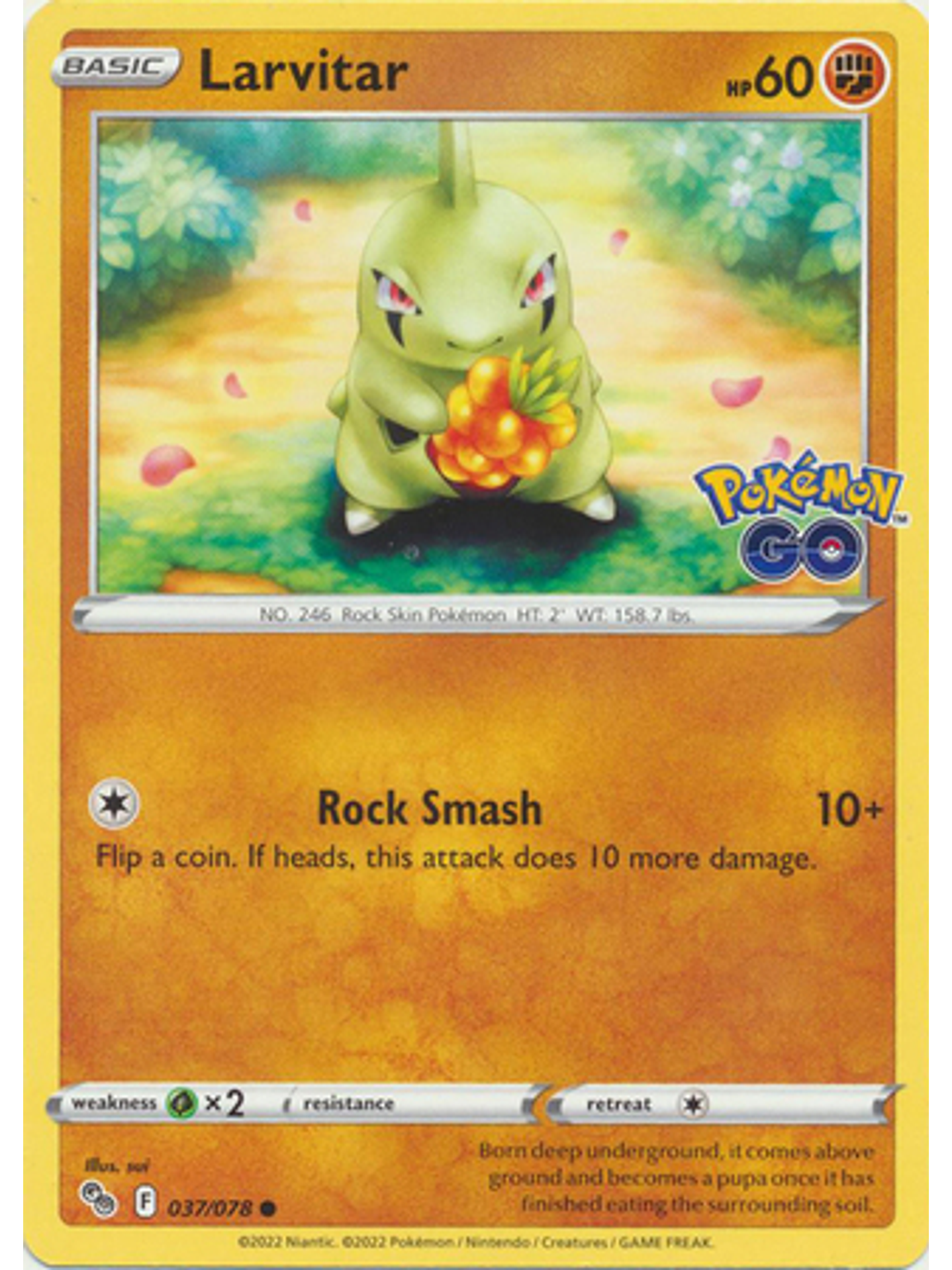 Larvitar - 037/078 - Common 1