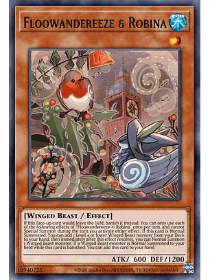 Floowandereeze & Robina - MP22-EN194 - Rare 1st Edition