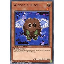 Winged Kuriboh - SGX2-ENA06 - Common 1st Edition