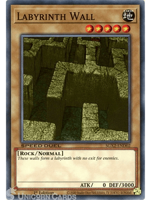 Labyrinth Wall - SGX2-END02 - Common 1st Edition