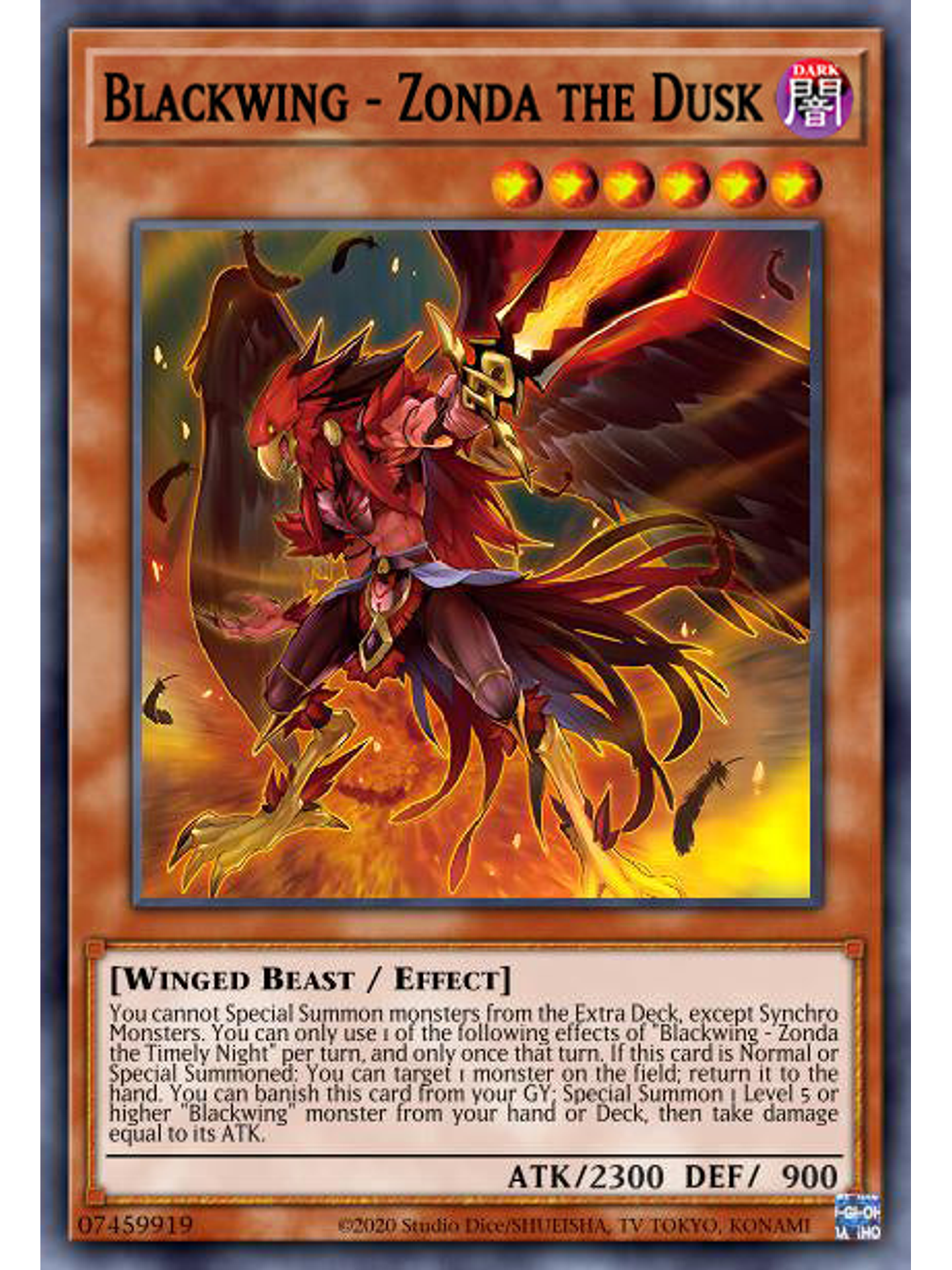 Blackwing - Zonda the Dusk  - DABL-EN005 - Common 1st Edition 1