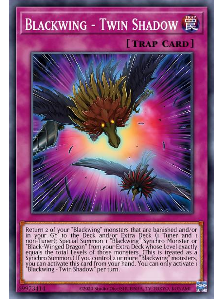 Blackwing - Twin Shadow  - DABL-EN071 - Common 1st Edition 1