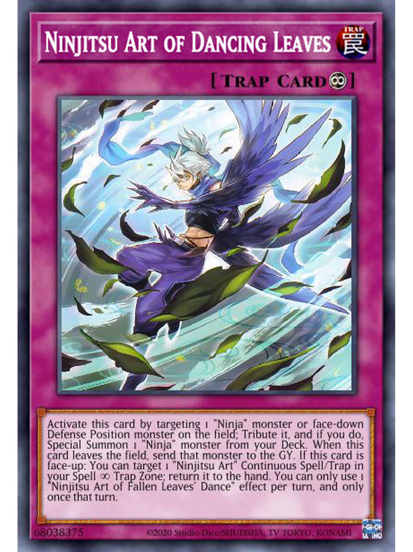 Ninjitsu Art of Dancing Leaves  - DABL-EN077 - Common 1st Edition 1