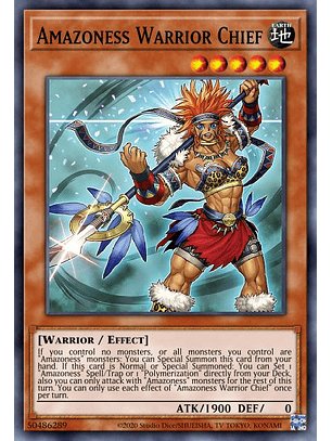Amazoness War Chief  - DABL-EN095 - Common 1st Edition