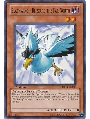 Blackwing - Blizzard the Far North - DP11-EN003 - Common 1st Edition