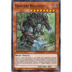 Danger! Bigfoot! - SR13-EN018 - Common 1st Edition