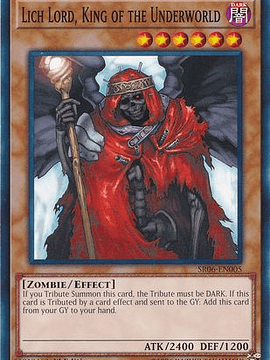 Lich Lord, King of the Underworld - SR06-EN005 - Common 1st Edition