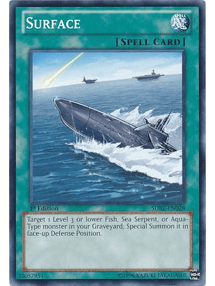 Surface - SDRE-EN028 - Common 1st Edition