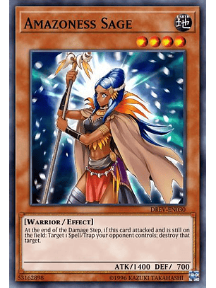 Amazoness Sage - SGX3-END08 - Common 1st Edition