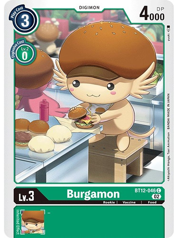 BT12-046 C Burgamon  1