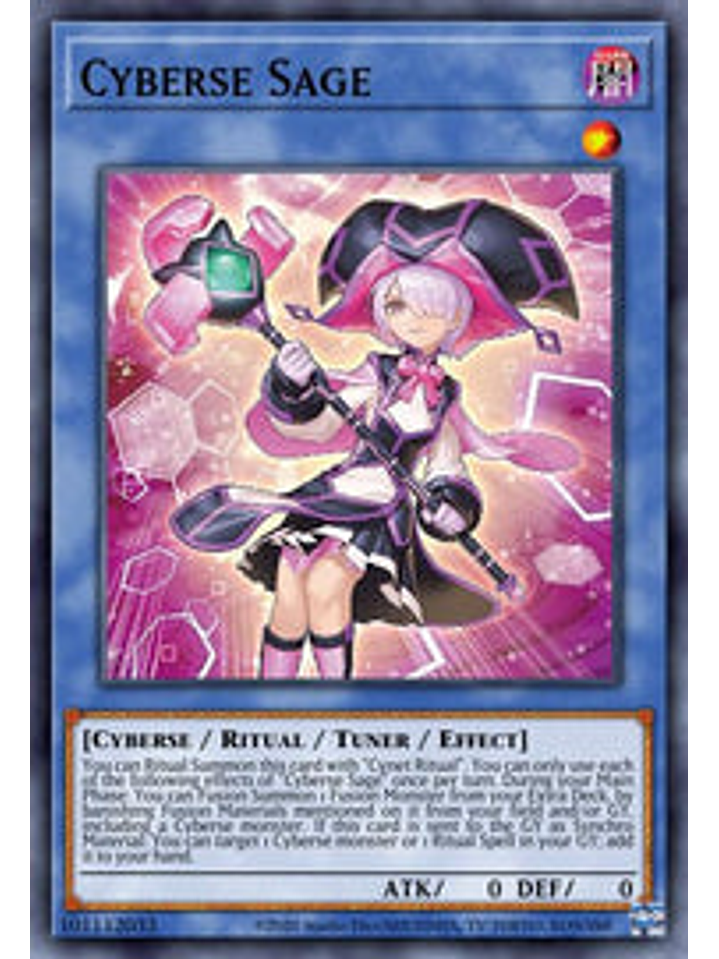 Cyberse Sage - CYAC-EN033 - Common 1st Edition 1