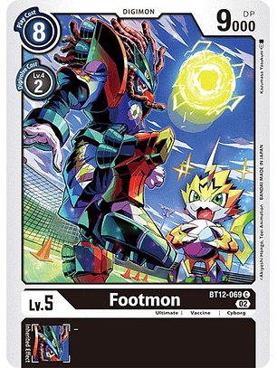 BT12-069 C Footmon 