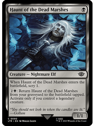 LTR-0090 C Haunt of the Dead Marshes (Foil)