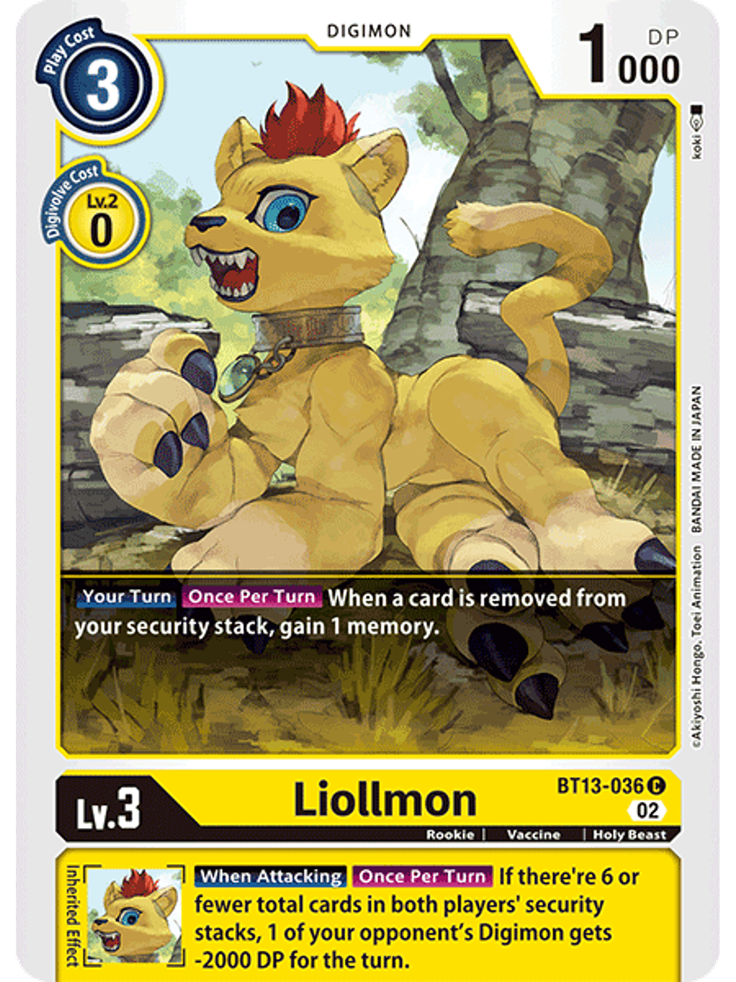 BT13-036 C Liollmon 1