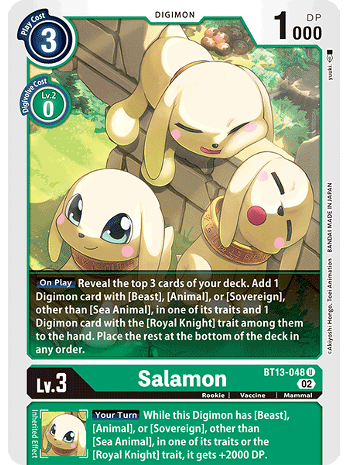 BT13-048 U Salamon 1