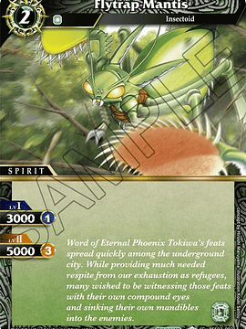 BSS02-092 C Flytrap Mantis