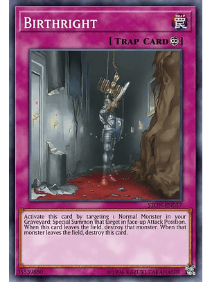 Birthright - SBC1-ENG18 - Common 1st Edition