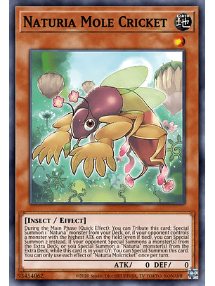 Naturia Mole Cricket - MP23-EN170 - Super Rare 1st Edition