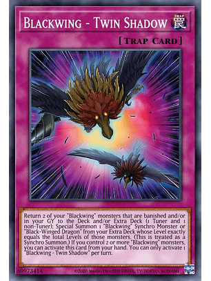 Blackwing - Twin Shadow - MP23-EN207 - Common 1st Edition