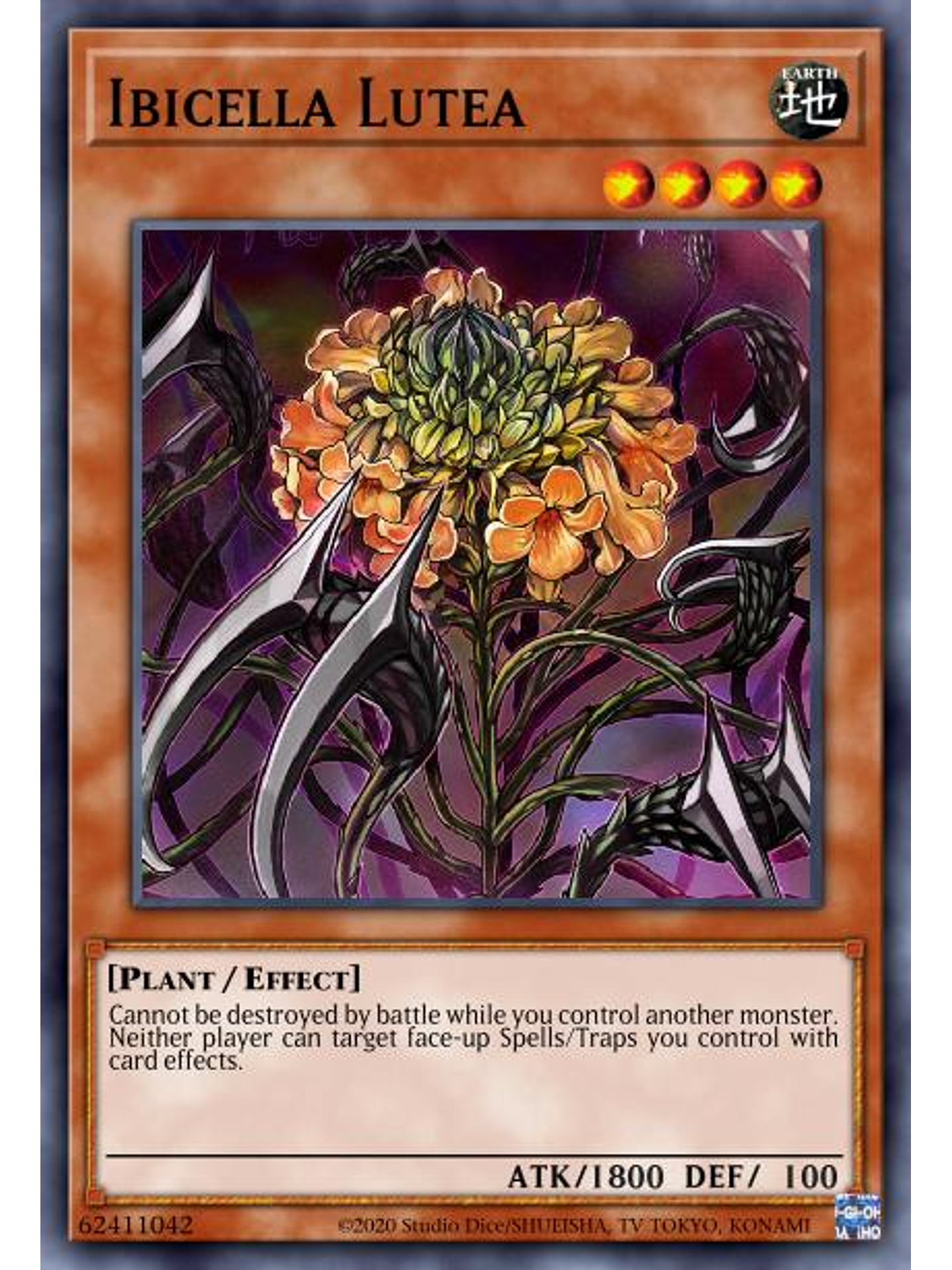 Ibicella Lutea - VASM-EN052 - Rare 1st Edition 1