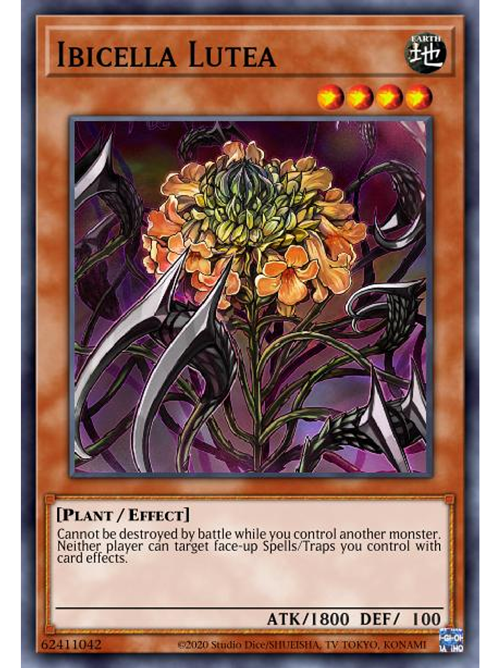 Ibicella Lutea - VASM-EN052 - Rare 1st Edition 1