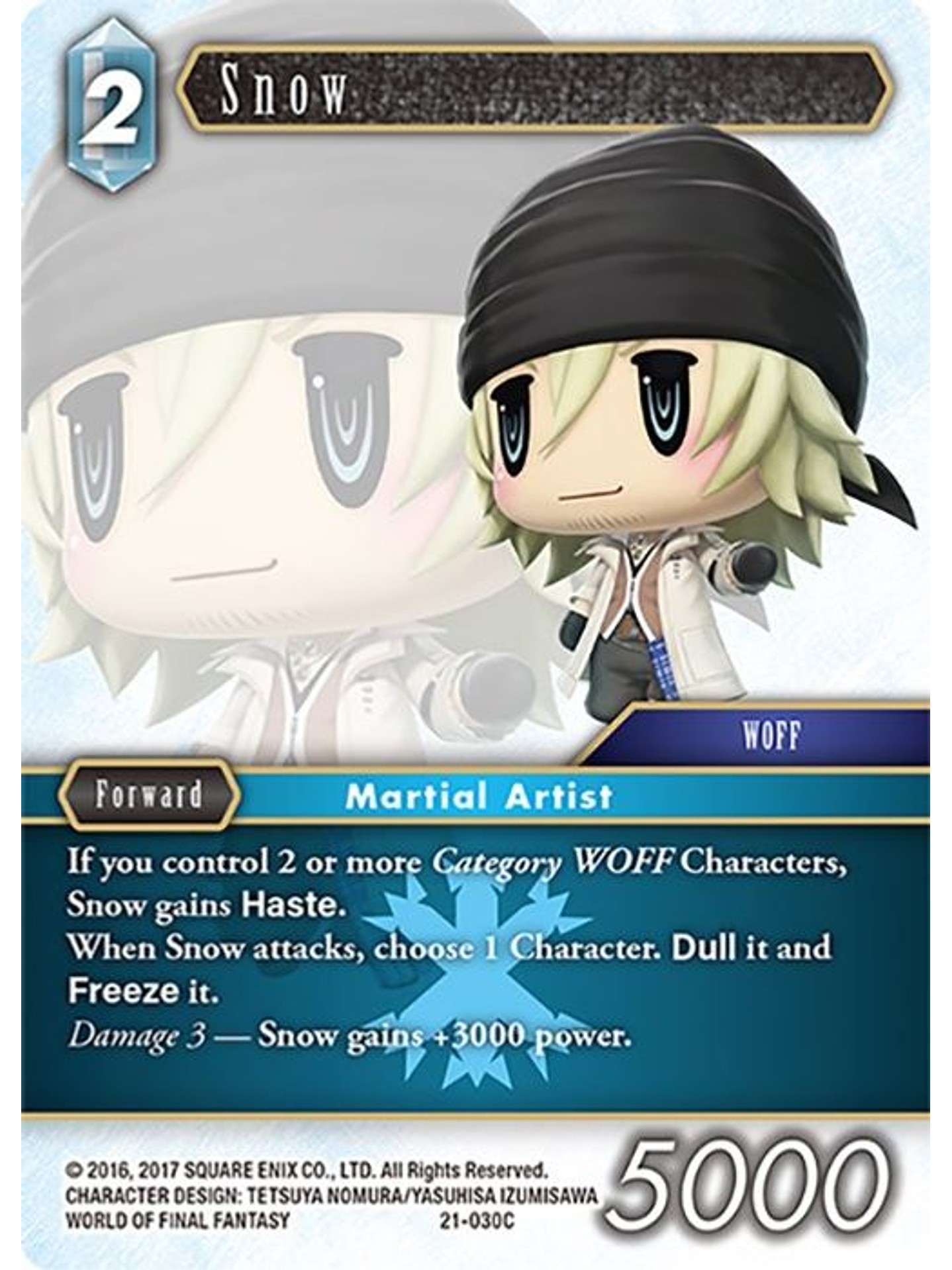 21-030C Snow (FOIL) 1