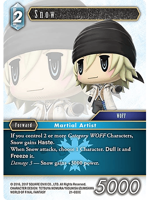 21-030C Snow (FOIL)