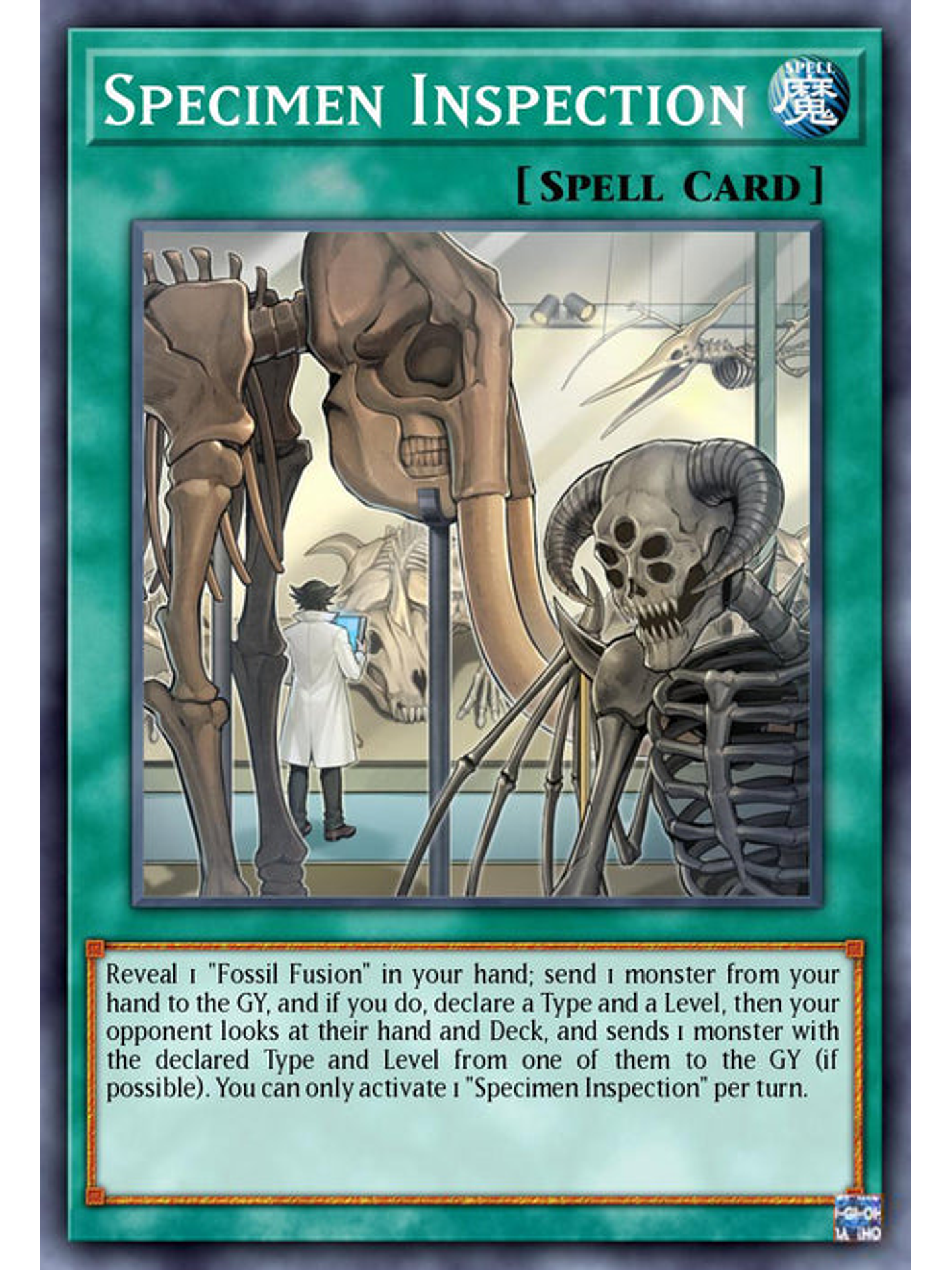 Specimen Inspection - BLC1-EN136 - Common 1st Edition 1