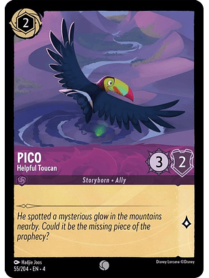 055/204 C Pico - Helpful Toucan