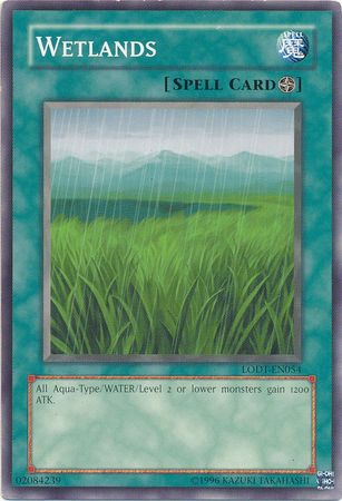 Wetlands - LODT-EN054 - Common Unlimited (2024 Reprint)