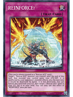 REINFORCE! - MP24-EN354 - Common 1st Edition