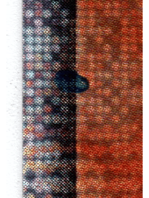 Green Gadget - MP24-EN014 - Quarter Century Secret Rare 1st Edition (Missprint)