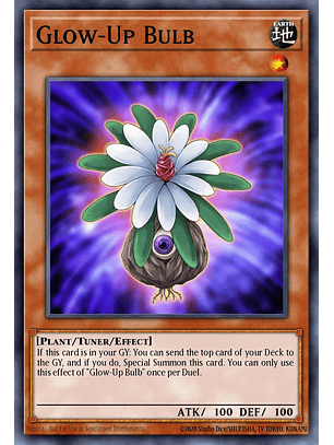 Glow-Up Bulb - RA03-EN245 - Quarter Century Secret Rare 1st Edition