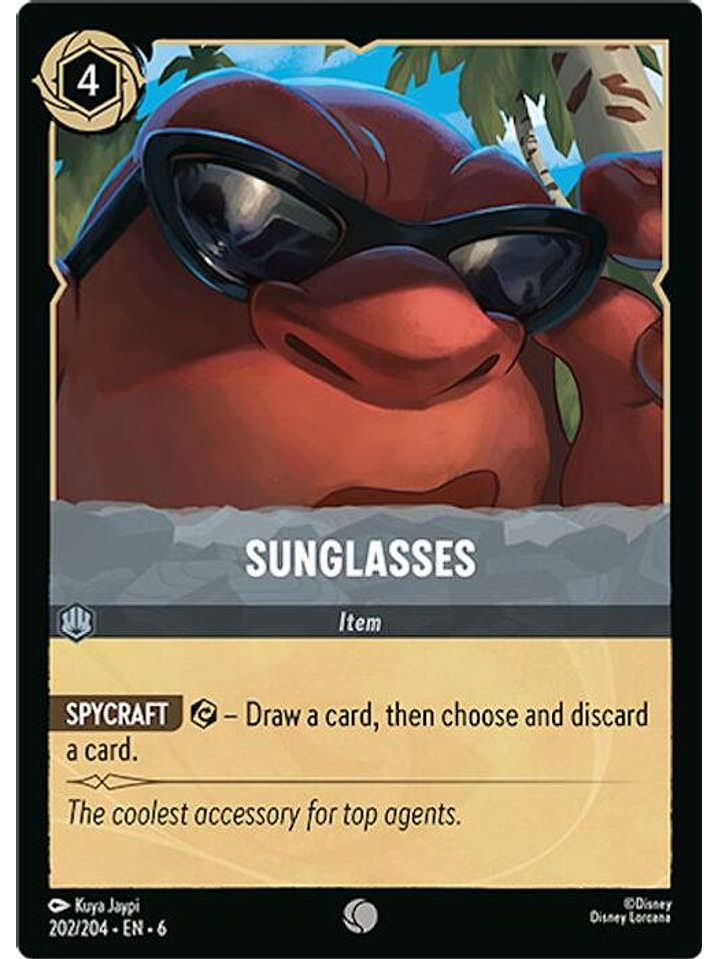 202/204 C Sunglasses (FOIL) 1