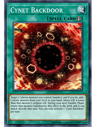 Cynet Backdoor - CRBR-EN029 - Rare 1st Edition