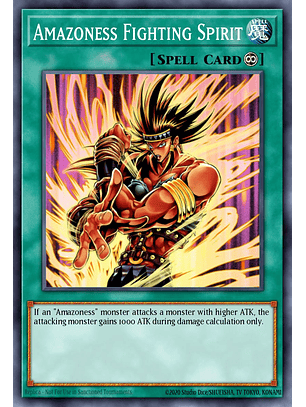 Amazoness Fighting Spirit - SBC2-ENH17 - Common 1st Edition